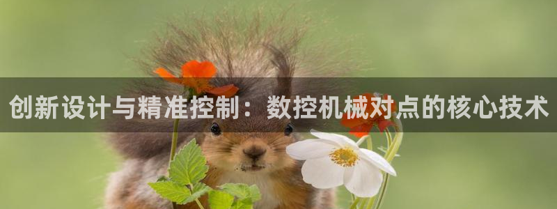 天辰娱乐登录网址
