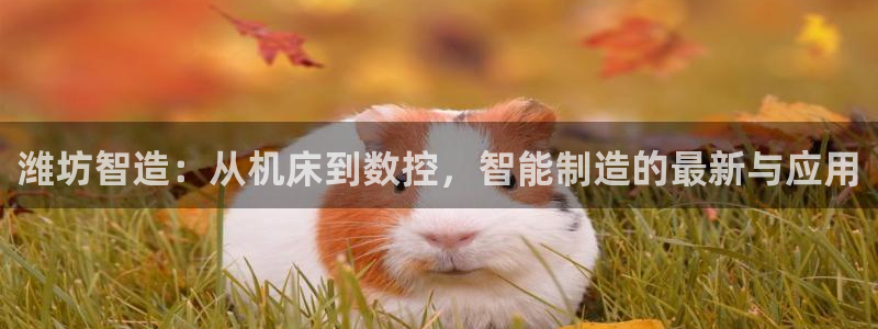 天辰娱乐论坛