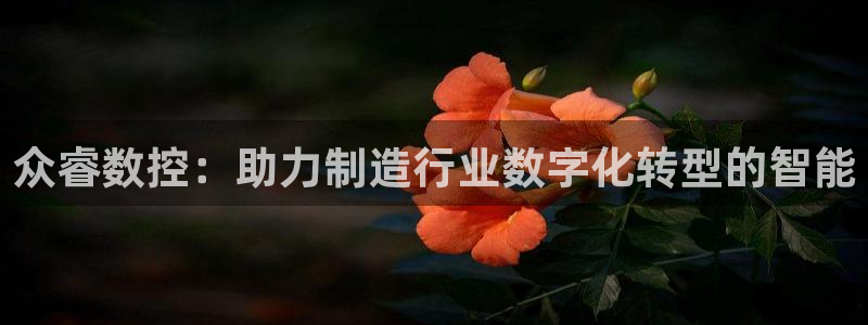 天辰娱乐客服