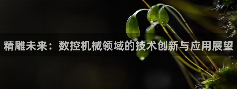 天辰娱乐官方网