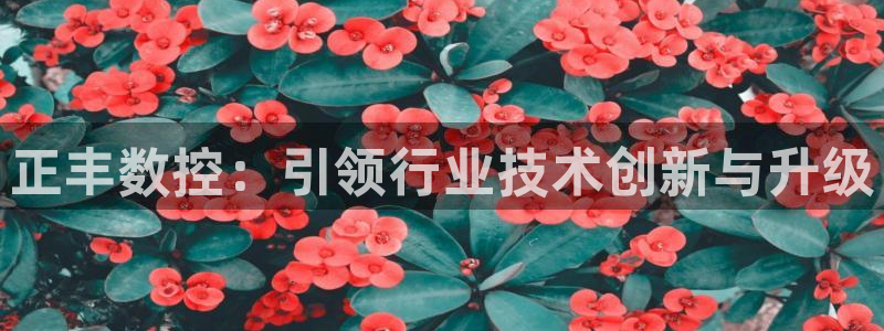 天辰娱乐开户