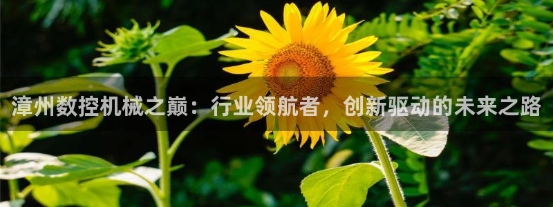 天辰娱乐服务