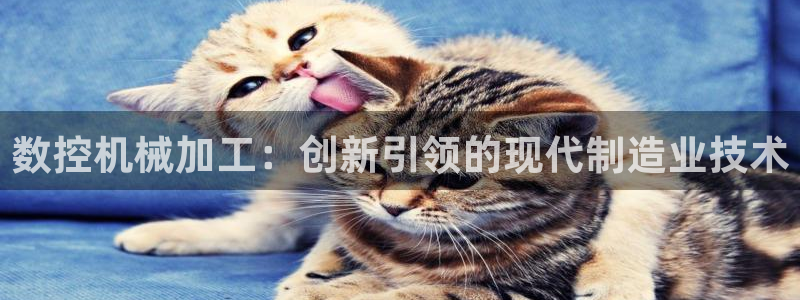 天辰娱乐代理