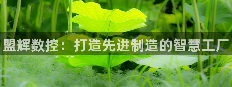 天辰娱乐39974神