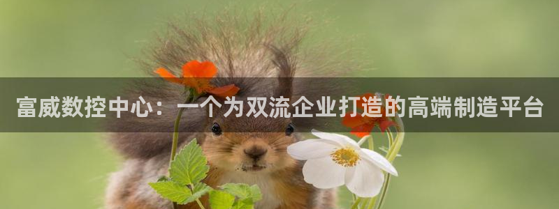 天富娱乐天辰娱乐