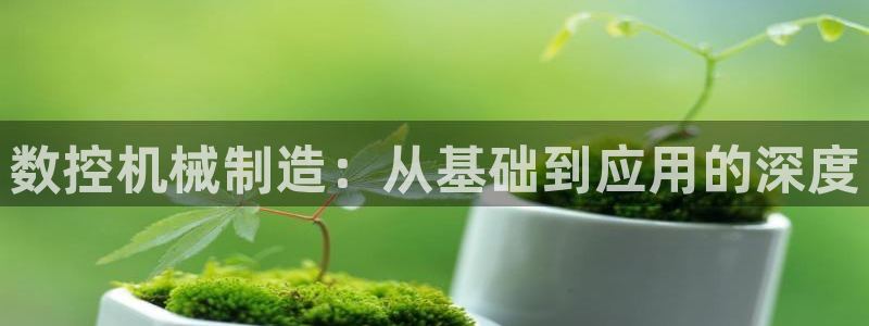 天辰娱乐股票