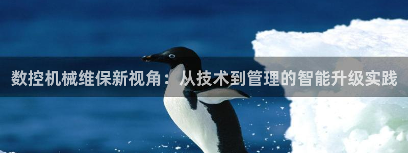 天辰娱乐下载地址