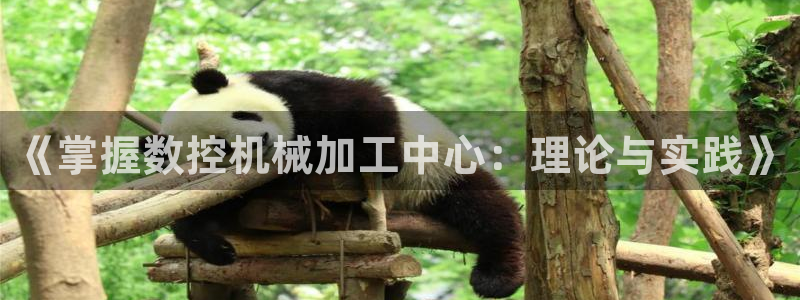 天辰娱乐84566