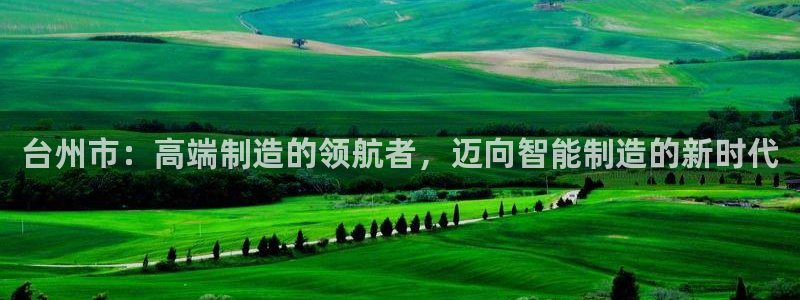 天辰娱乐官方登录入口:台州市:高端制造的领航者,迈向智能制造的新时代