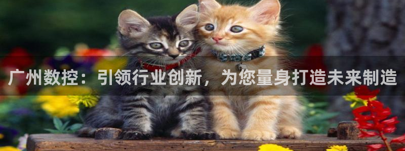 天辰娱乐 首选
