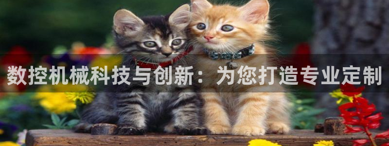 天辰娱乐上级