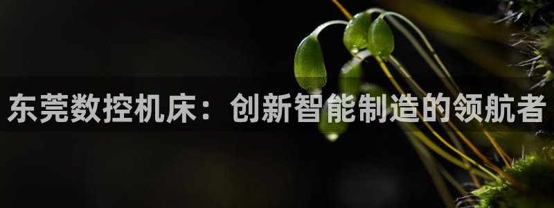 天辰娱乐游戏平台怎么样