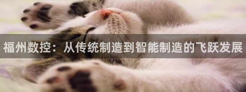 天辰娱乐股东