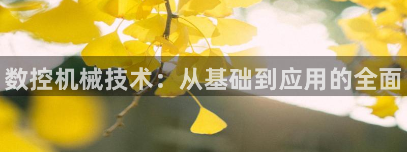 天辰娱乐游客