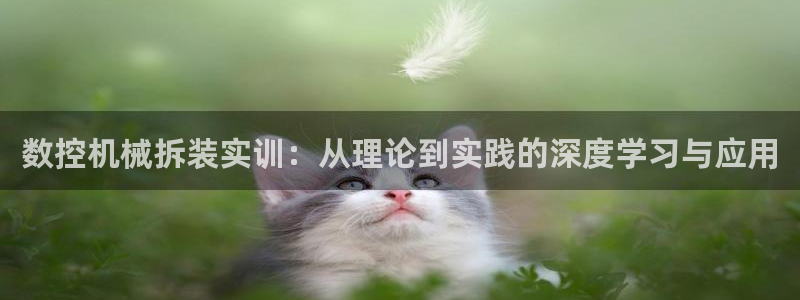 天辰(娱乐注册:数控机械拆装实训:从理论到实践的深度学习与应用