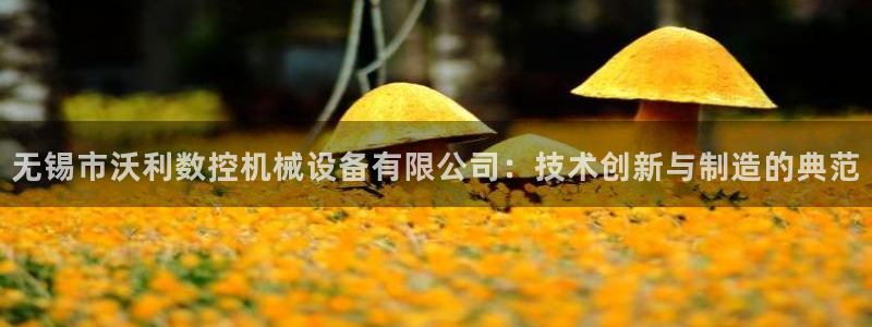 天辰平台娱乐