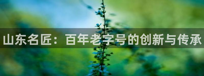 天辰娱乐指定