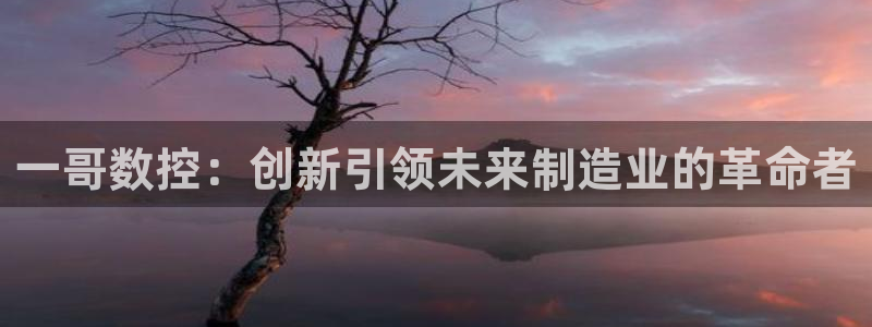 nba天辰娱乐:一哥数控:创新引领未来制造业的革命者