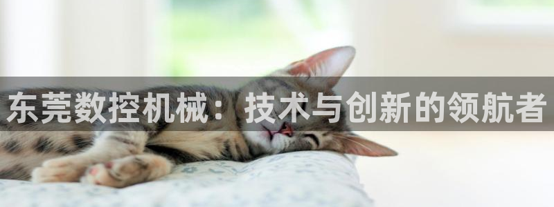 天辰娱乐885544