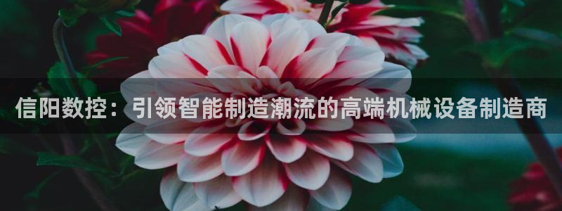 天辰娱乐10086