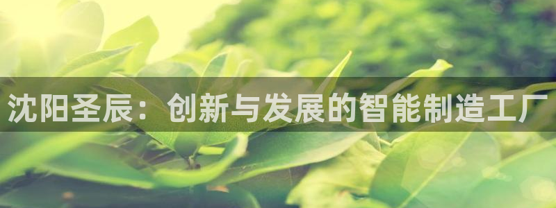 天辰团队贝高娱乐