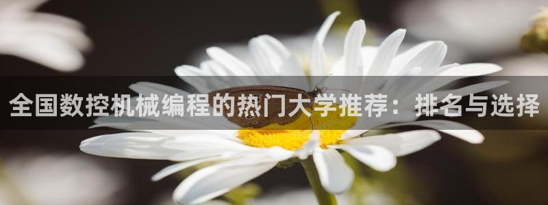 天辰娱乐app