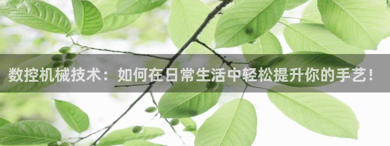 天辰娱乐481928