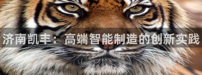 天辰娱乐平台靠谱么