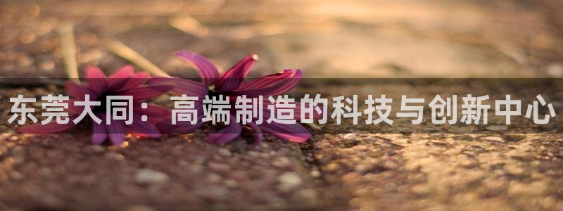 天辰娱乐好吗