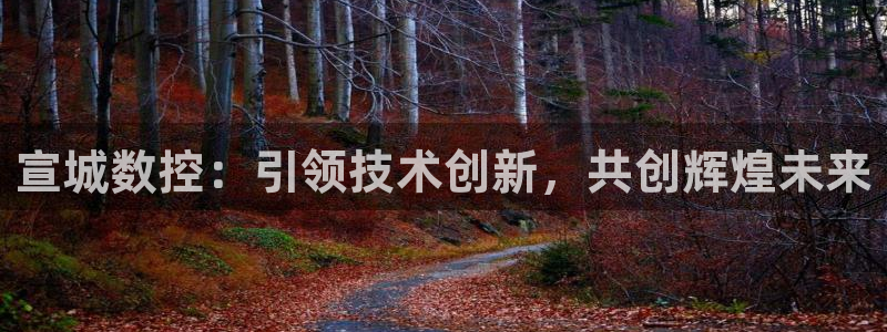 大同天辰娱乐