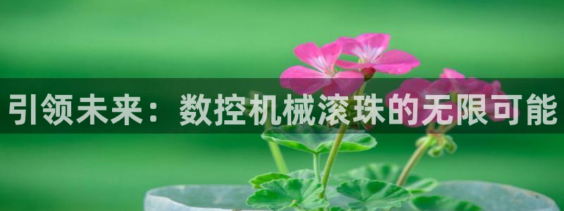 天辰娱乐网