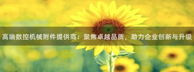 辰天娱乐用品