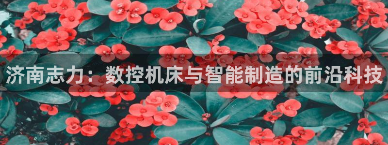 天辰娱乐游客