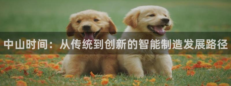 天辰娱乐登陆平台