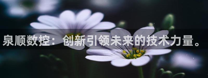 天辰娱乐84566