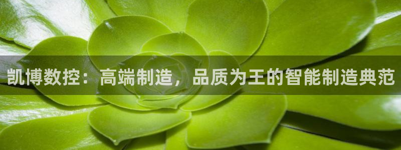 天辰娱乐入口