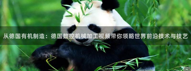 天辰娱乐会员