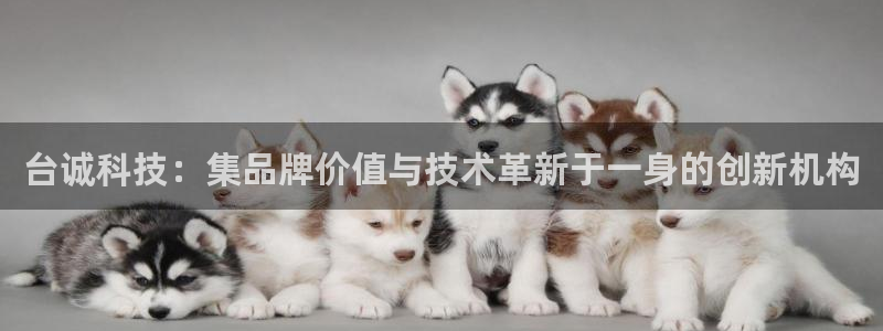 天辰a娱乐