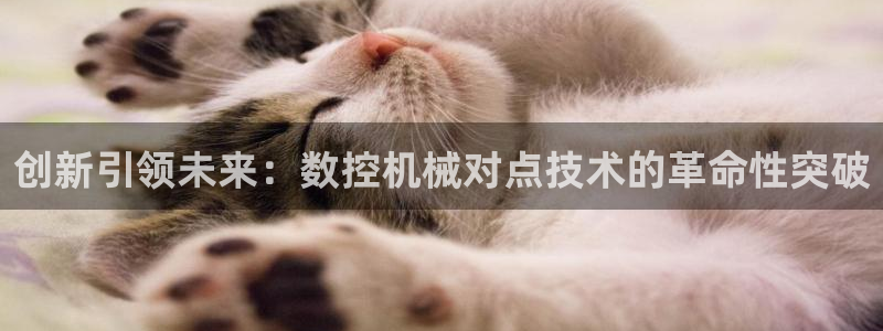 天辰娱乐平台登录账号:创新引领未来:数控机械对点技术的革命性突破