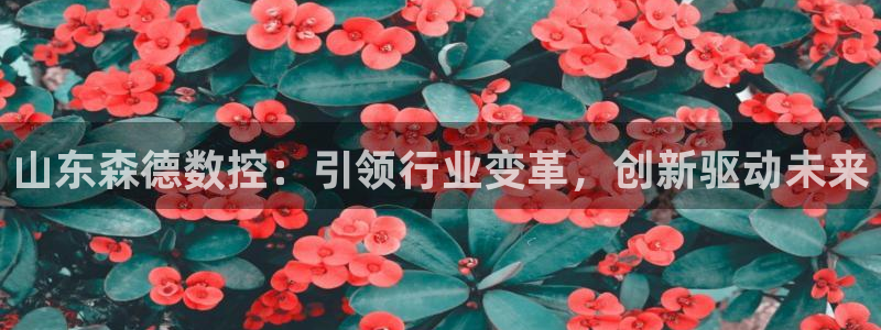 天辰娱乐海洋