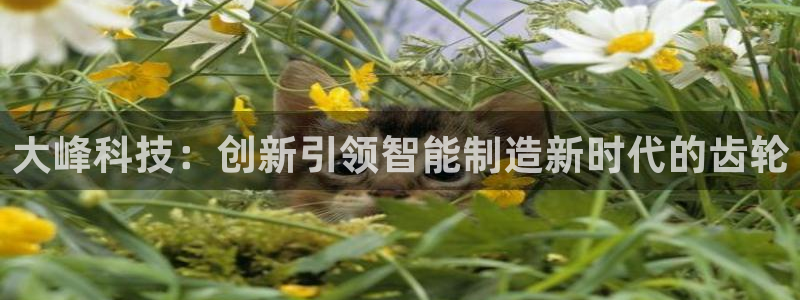 天辰娱乐22650