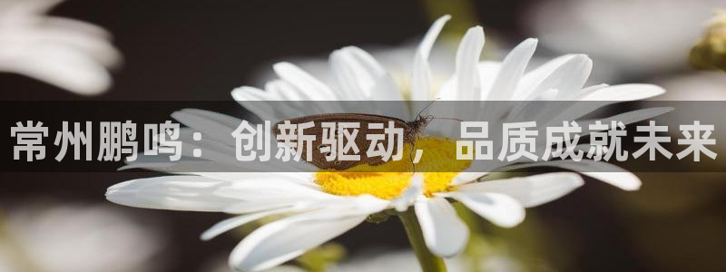 天辰娱乐2