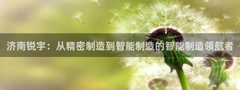 天辰辰娱乐代理：济南锐宇：从精密制造到智能制造的智能制造领航者