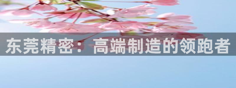 天辰娱乐文案