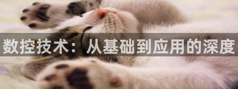 天辰娱乐登陆平台