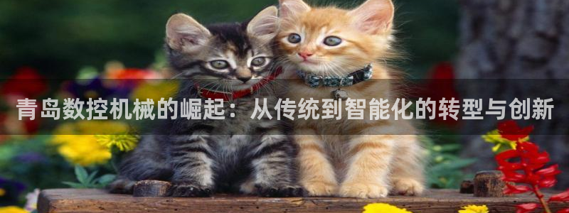 天辰娱乐代理