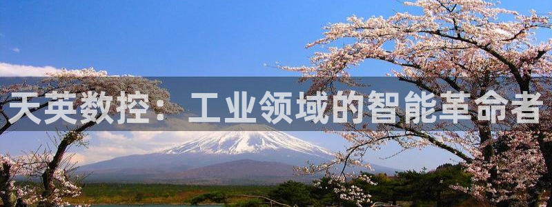 天辰娱乐官方登录入口