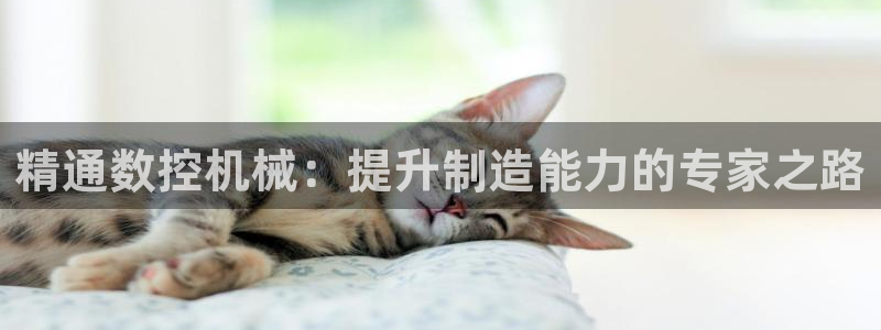 天辰娱乐咋样