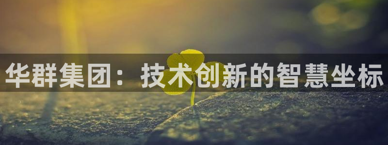 天辰天富娱乐:华群集团:技术创新的智慧坐标