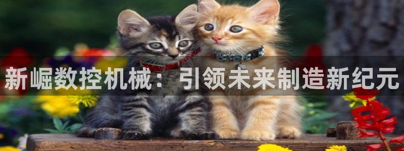 天辰娱乐728567